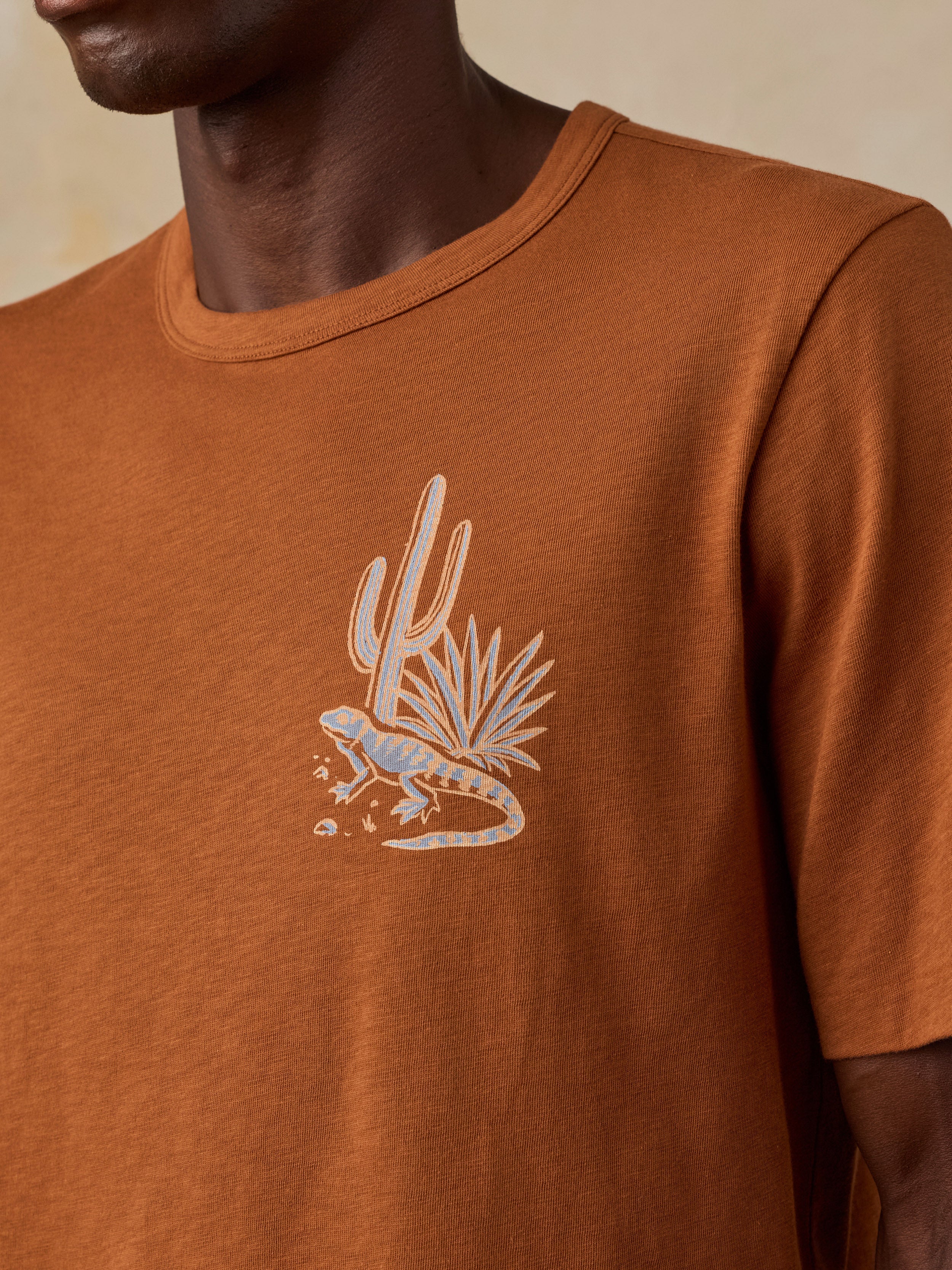 Faherty x Parks Project Chihuahuan Desert Short-Sleeve Sunwashed Regenerative Tee - Copper Red