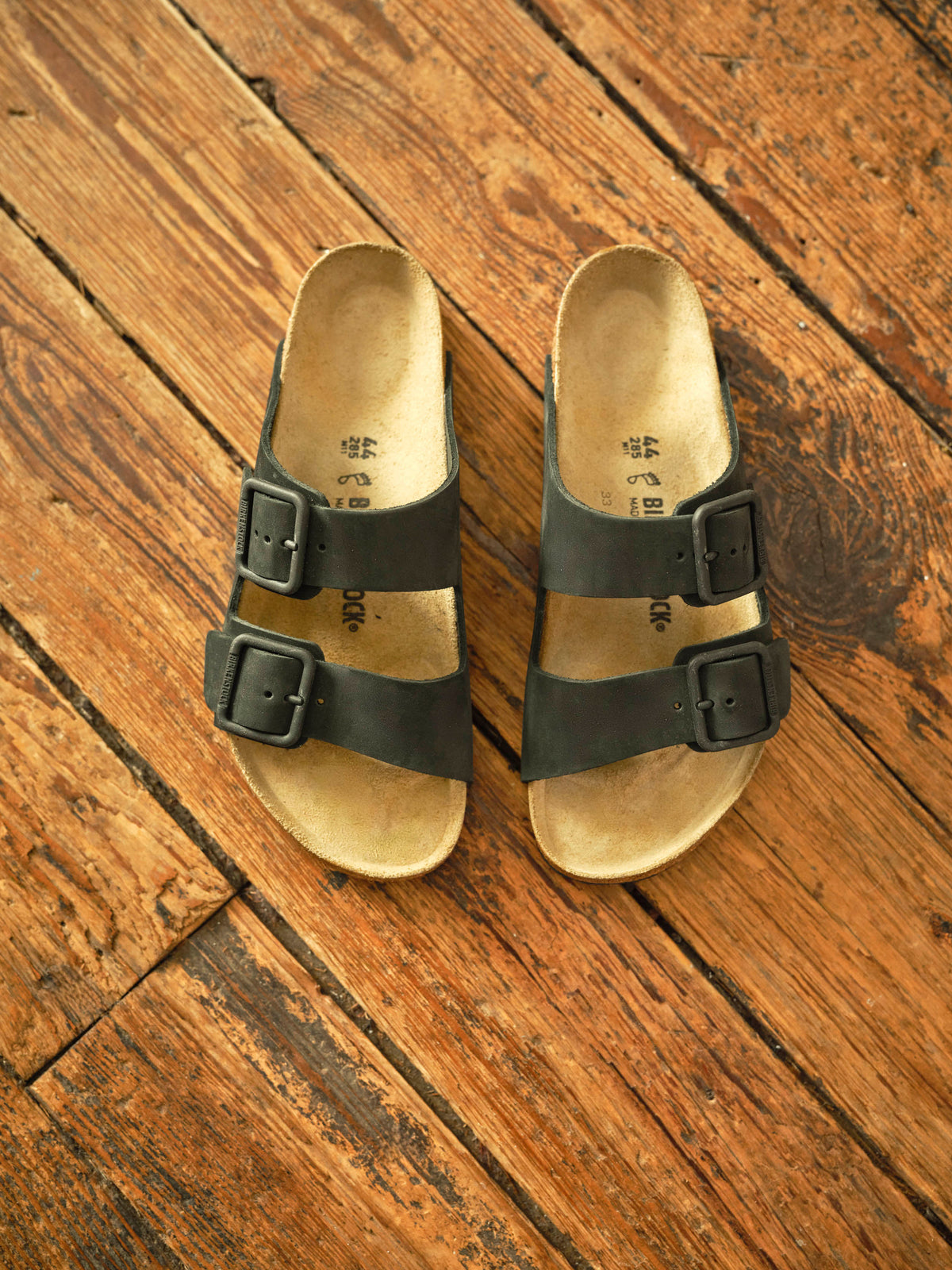 Arizona Wire Buckle - Black